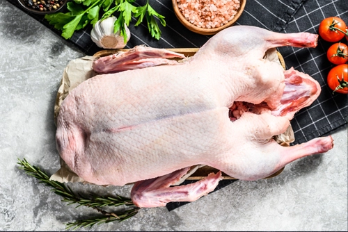 gęś ekologiczna tuszka gęsi eko