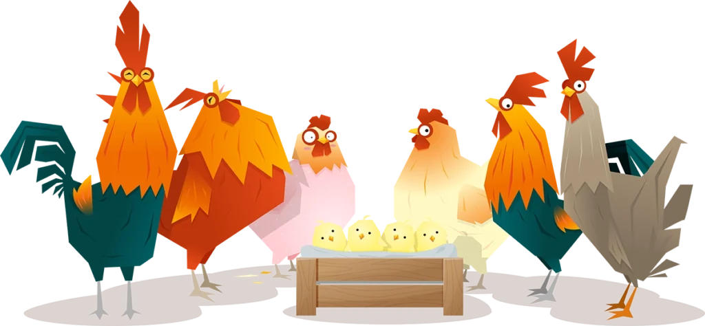 kurczak ekologiczny zagrodowy